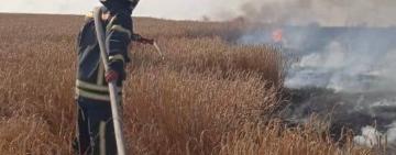 На Одещині горіло поле з пшеницею